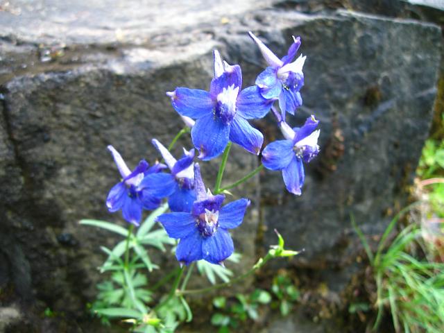 Eagle Creek-107.JPG - Eagle Creek